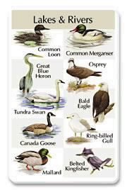 Lakes And Rivers SongCard.jpg